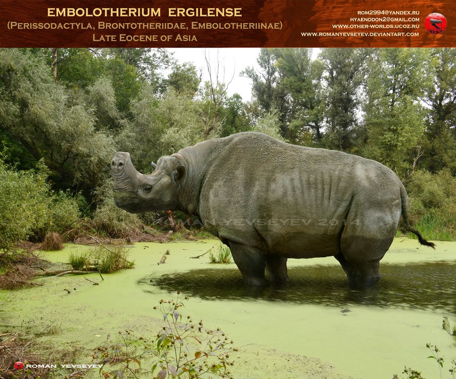 Embolotherium ergilense