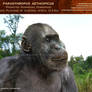 Paranthropus aethiopicus2