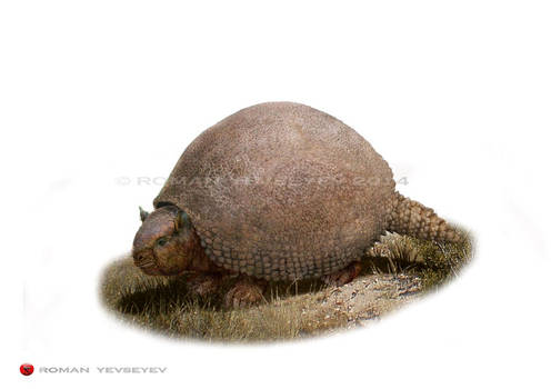 Glyptodon