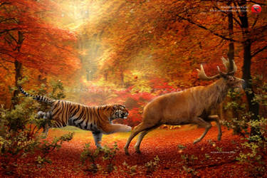 Pleistocene of Japan: tiger hunts Sinomegaceros