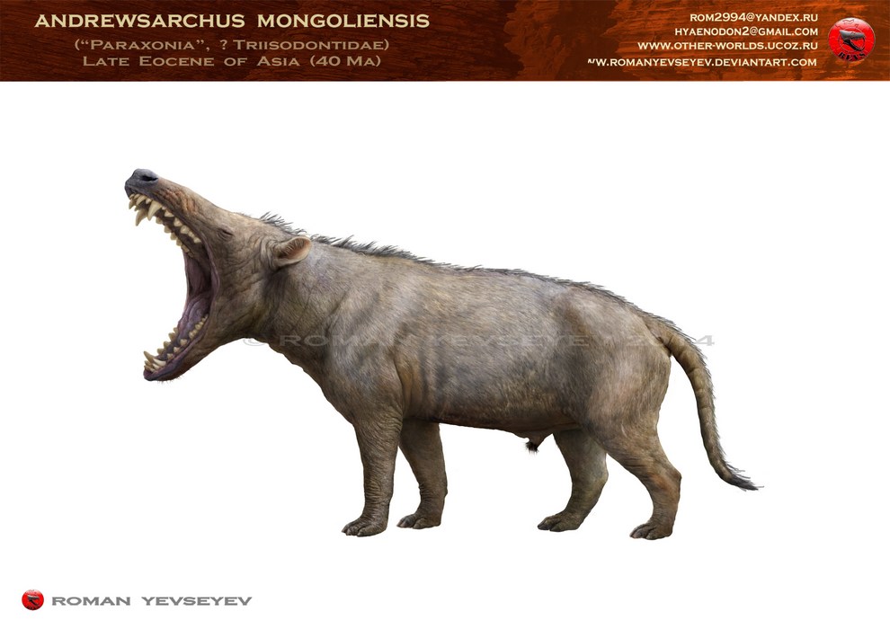 Andrewsarchus mongoliensis