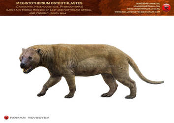 Megistotherium osteothlastes