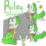 Riley Revamp