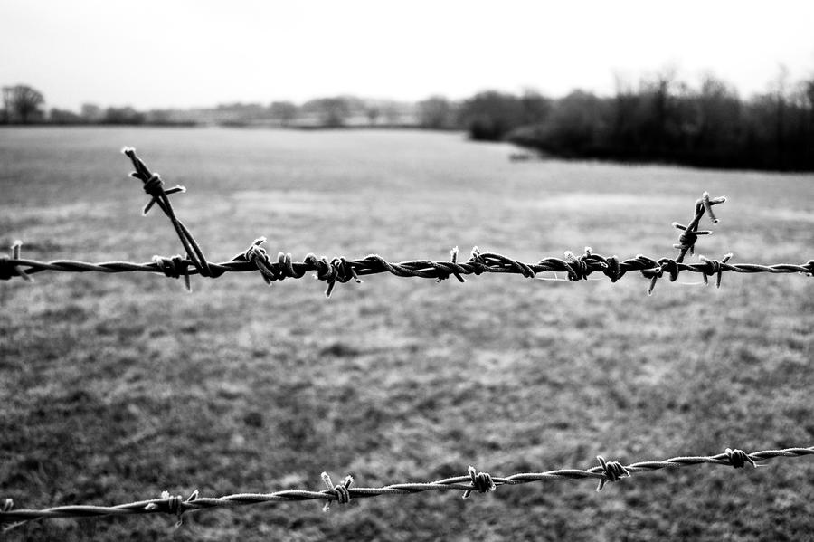 Distorted Wire Examples Distorted Wire by Wotnotz on DeviantArt