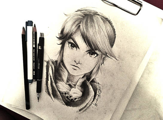 Link from Hyrule Warriors