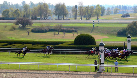 Keeneland races