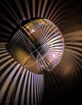 Bulb by Astrantia01