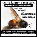 Bees, killed by neonicotinoid insecticides by uki--uki