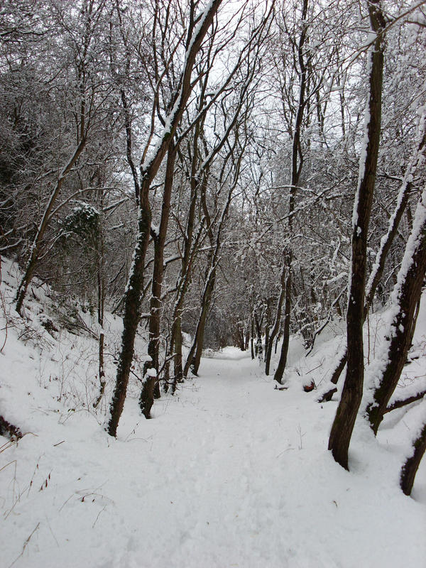 White Path Pattern White Path by splash227 on DeviantArt