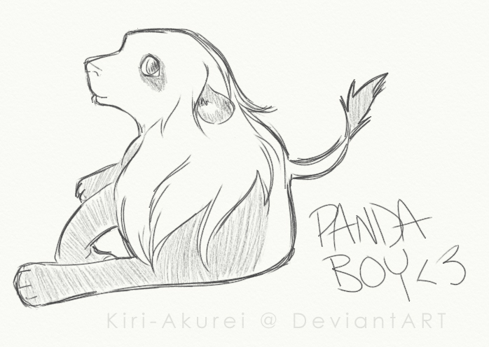 Panda Boy - Lion