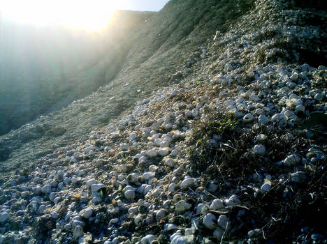 mountain of snails