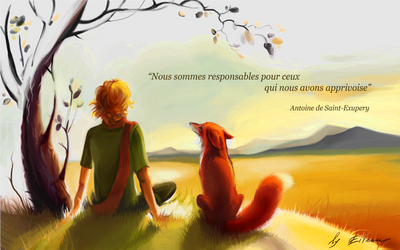 Le petit prince by KEileena