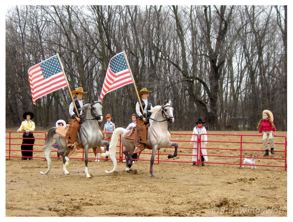 Flag Routine