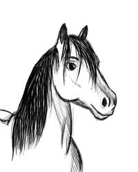 Horse Cartoon