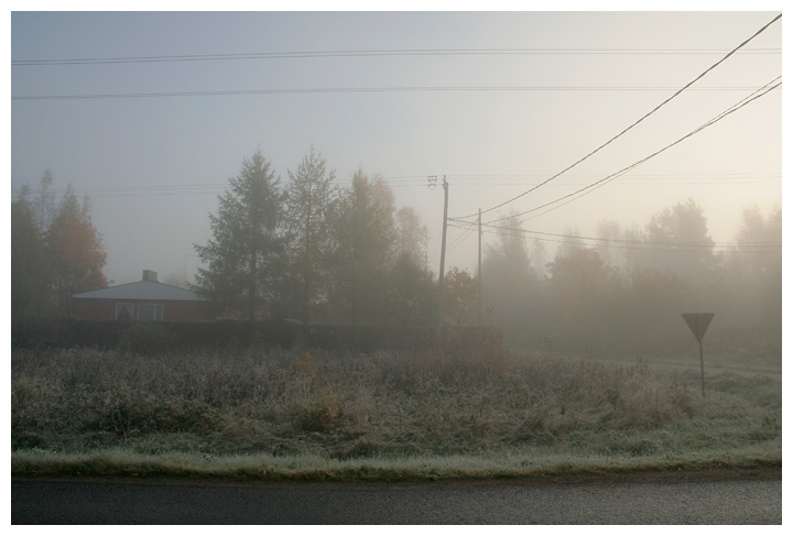 Misty morning II