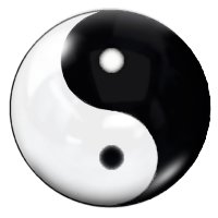 Little Yin Yang