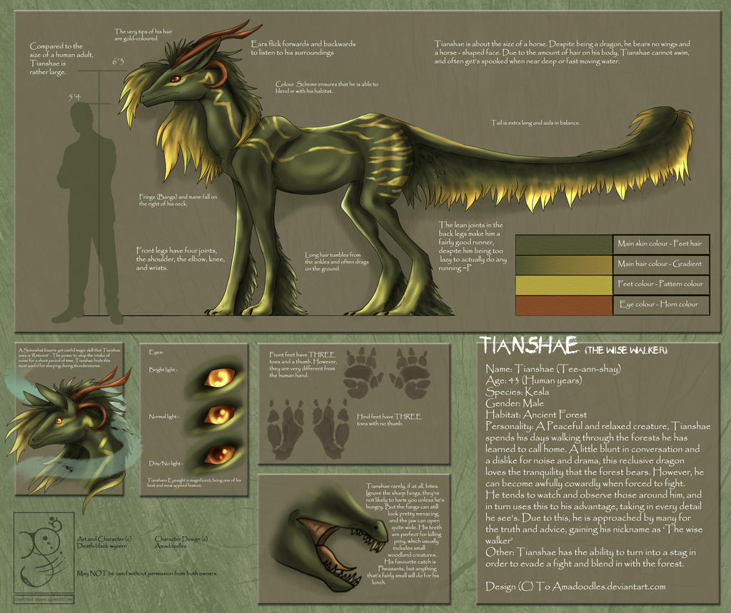 Tianshae Reference sheet