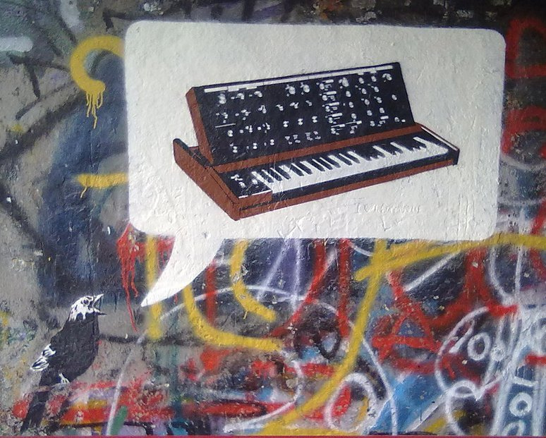 moog bird