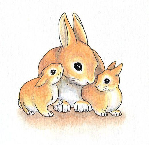 Rabbit Mother by Joceweir on DeviantArt