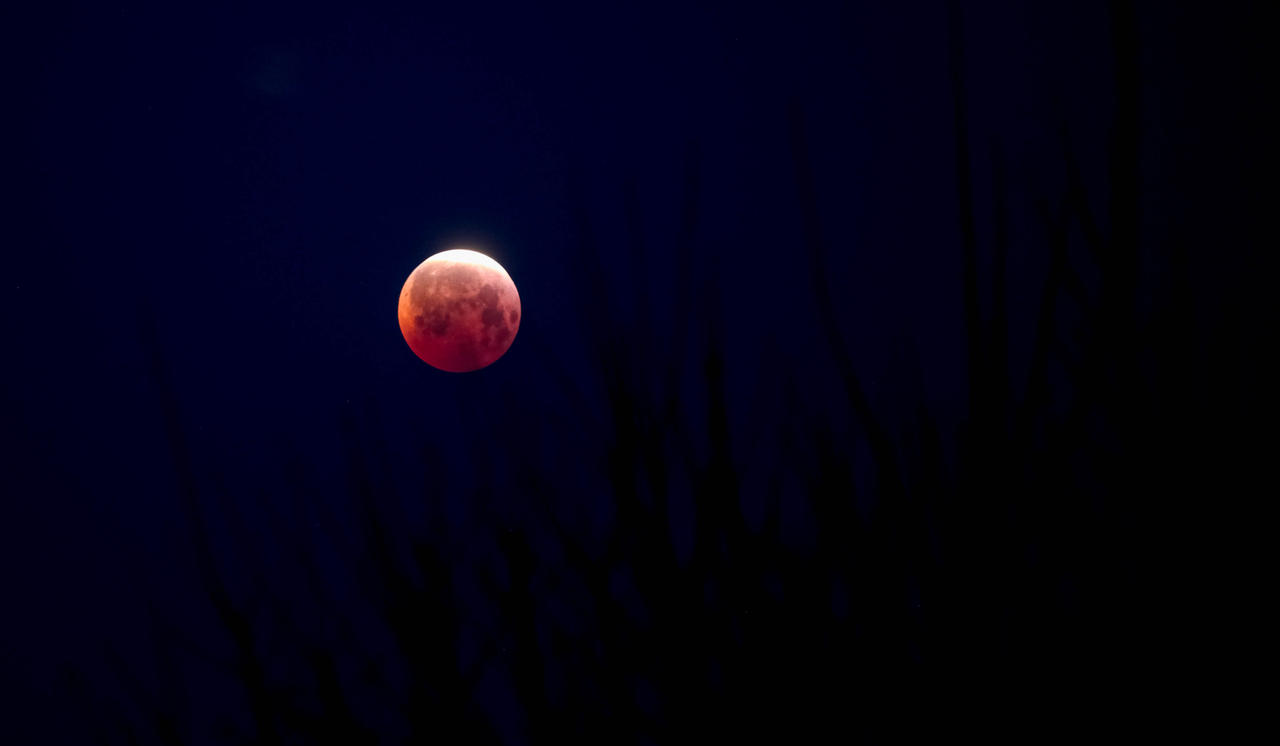 Blood Moon