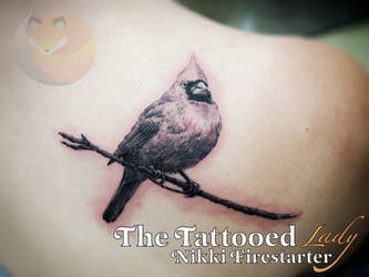 Cardinal Tattoo