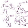 4/4 open horse yhhs/ychs