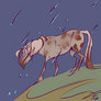 Rough rain