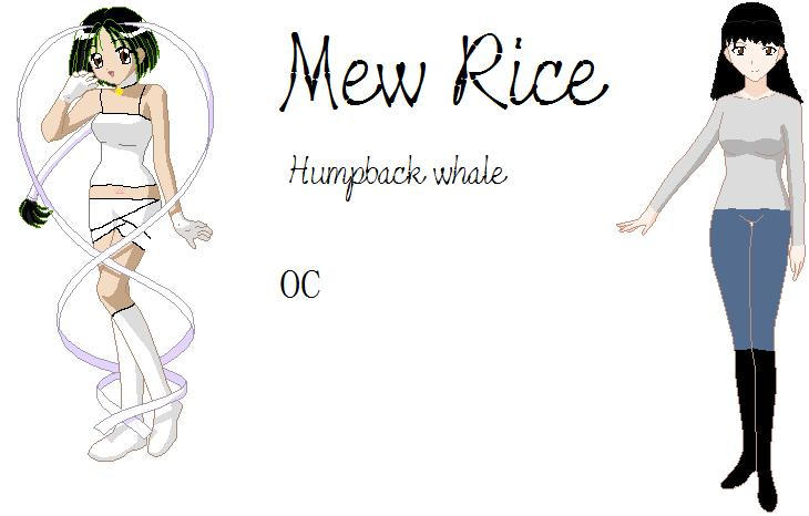 Mew Rice by Earthbender3 on DeviantArt