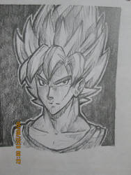 Goku in my Style