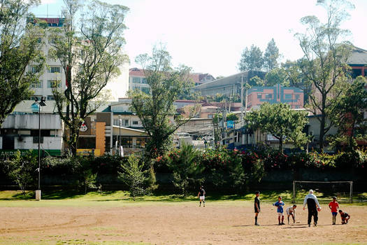 Baguio Scenes VIII