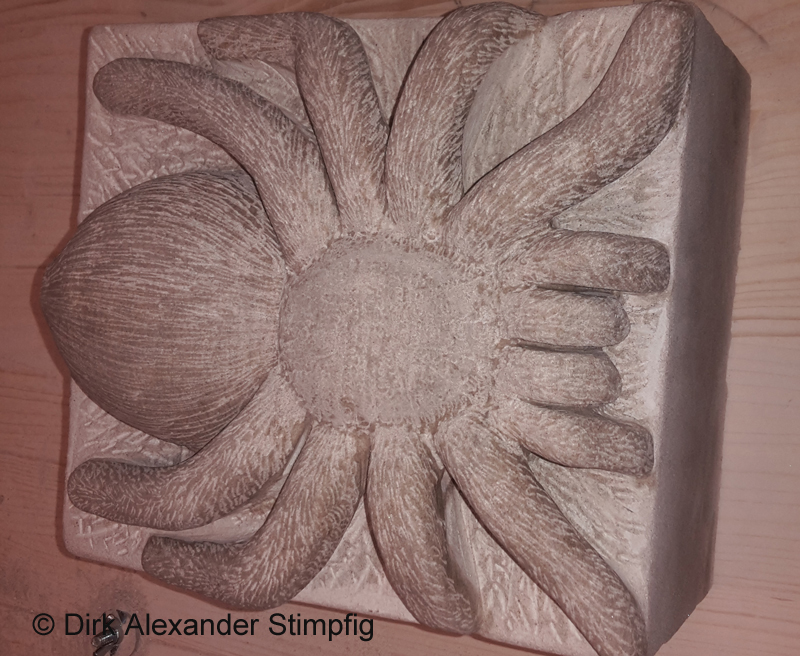 Spider Spinne Sandstone Sandstein with W.I.P-Video