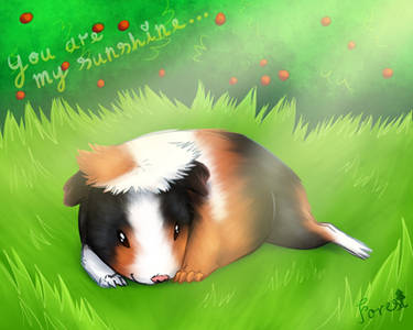 Sun - Inktober 2024 / Day 9