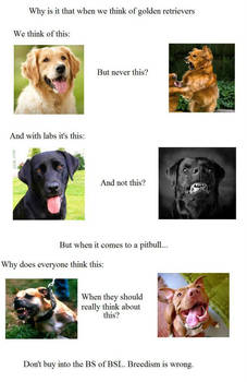 The BS of BSL