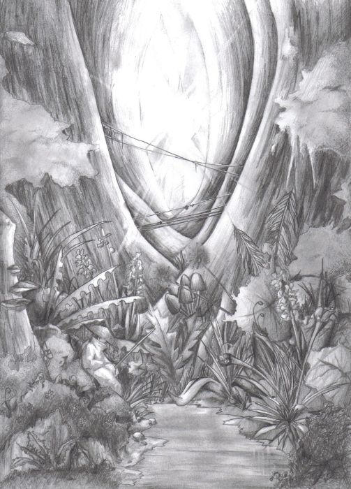 Заколдованный рисунок. Волшебный лес карандашом. Сказочный лес карандашом. Заколдованный лес рисунок карандашом. Волшебный лес рисунок карандашом.