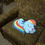 dashie sleeping on my couch