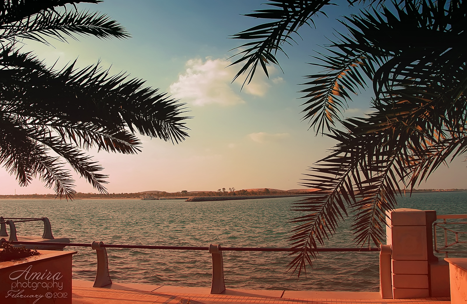 Abu Dhabi Corniche 27