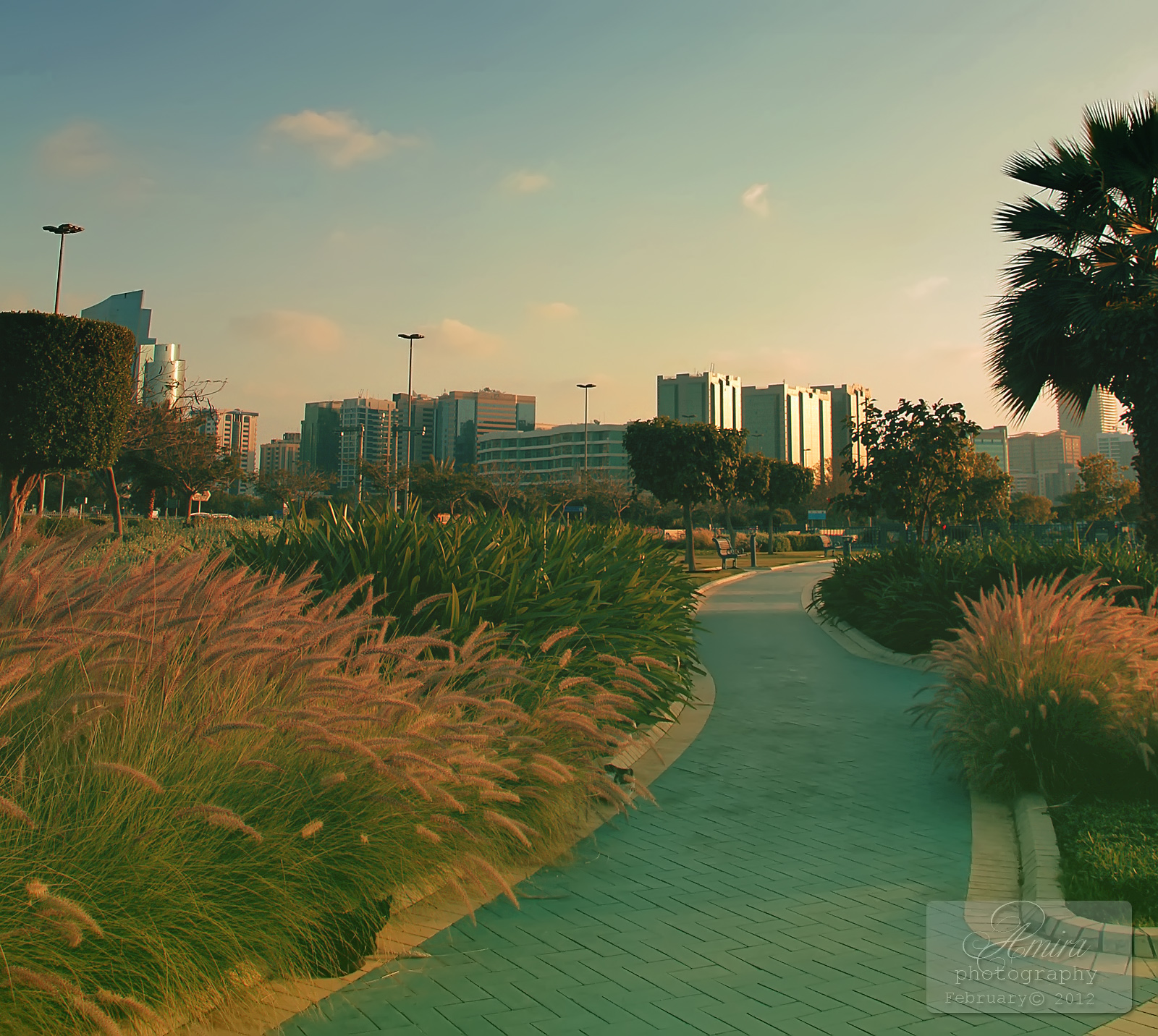 Abu Dhabi Corniche park 3