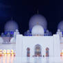 Sheikh Zayed mosque Abu Dhabi 6