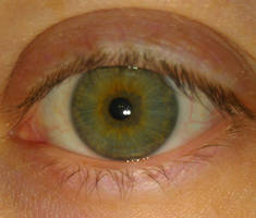 My eye... unedited.