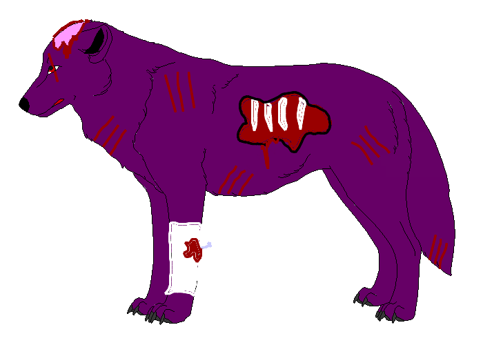 Wolf Injuries Injury wolf by 1Moon-Howl1 on DeviantArt
