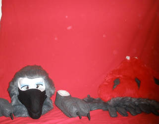 African Grey Partial Set - Partial Example