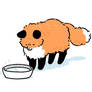 The fluffy fox (#5)