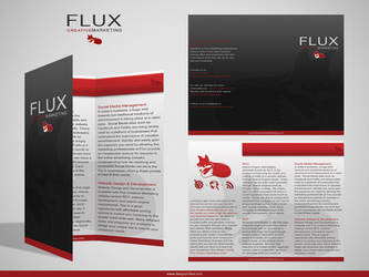 Flux Marketing Brochure