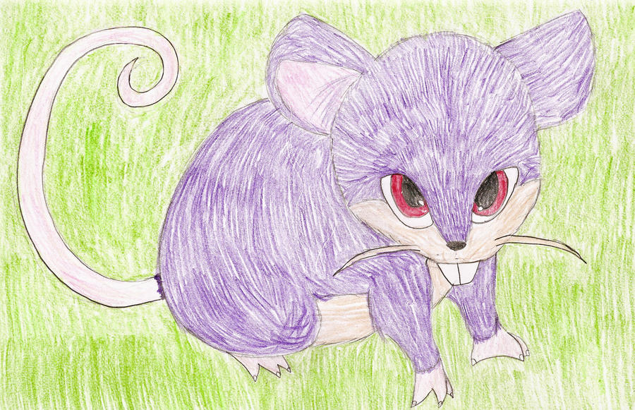 Realistic Rattata by TwilightWereWolf on DeviantArt
