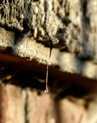 falling water drop