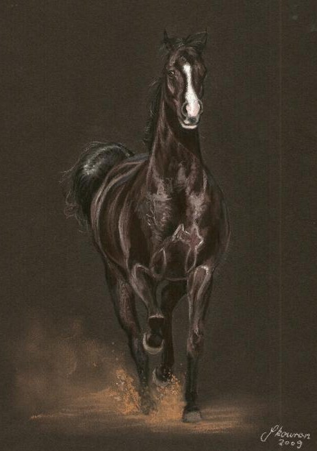 Black horse