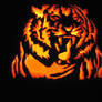 Tiger Pumpkin 3