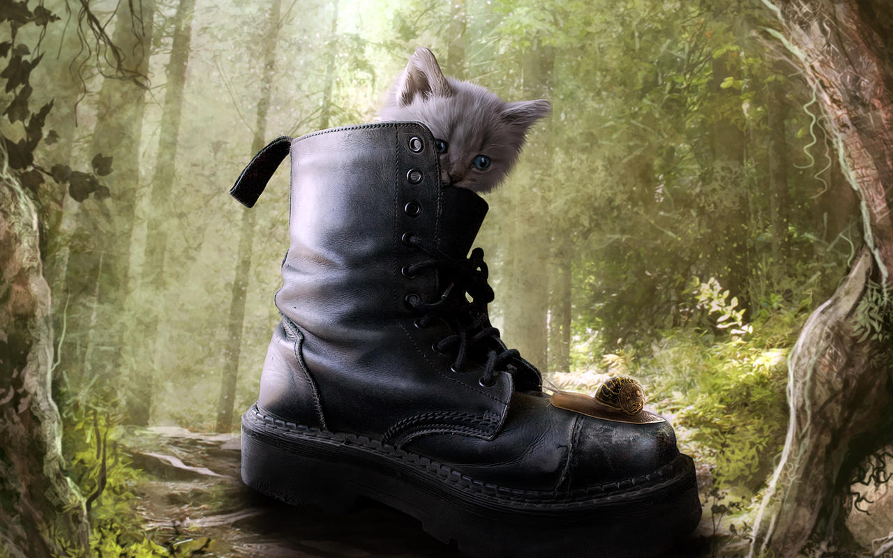 Puss in boot