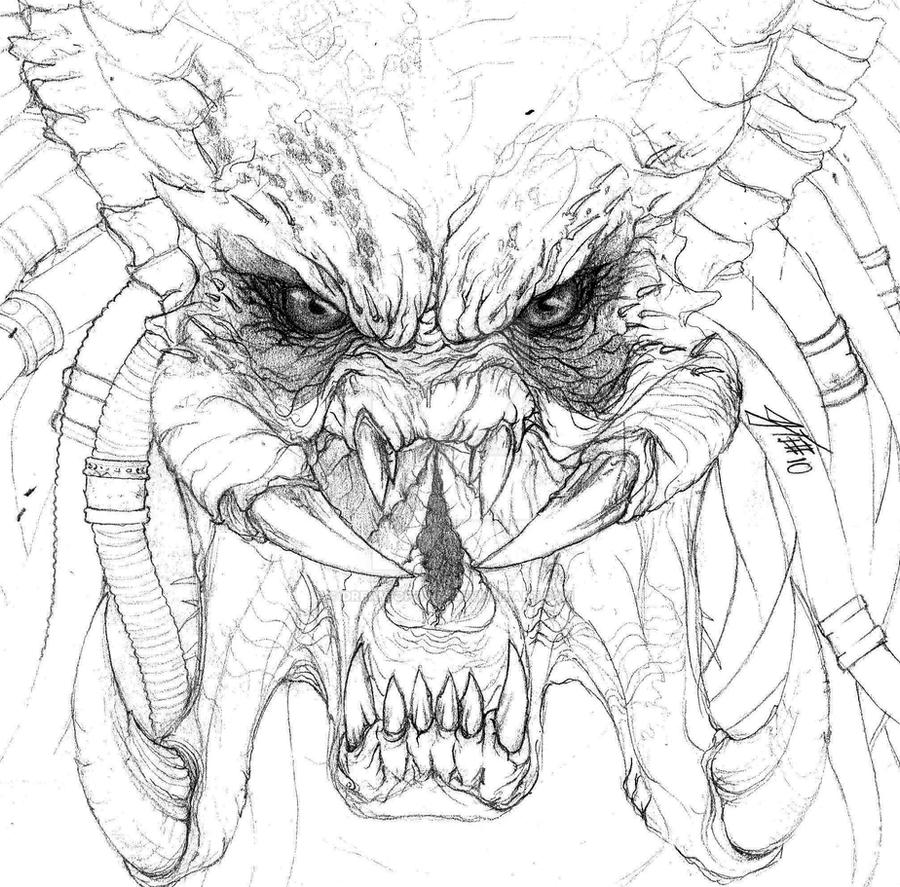 Drawn Predator Predator Sketch by Dream-of-This on DeviantArt