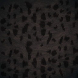 Fur3 freebie texture